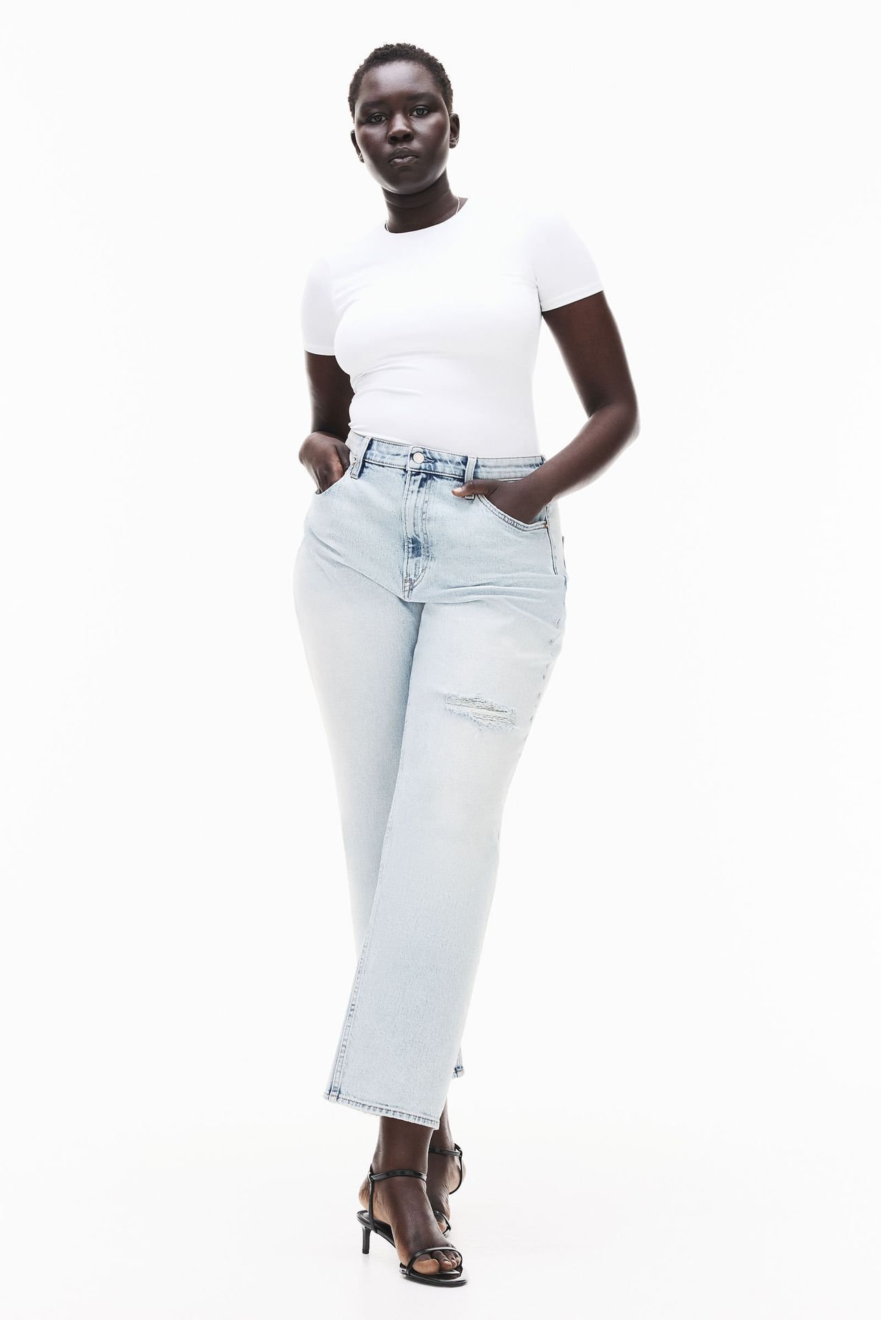 model-main