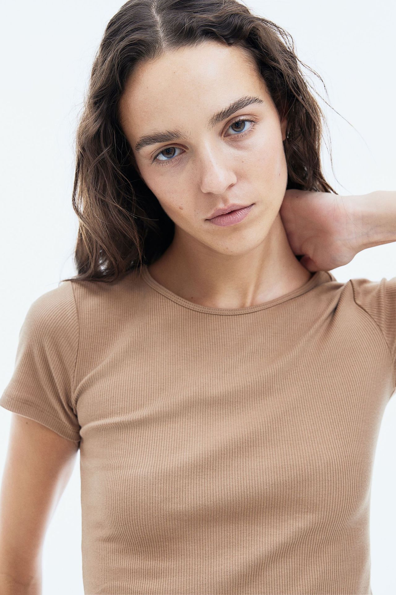 model-main