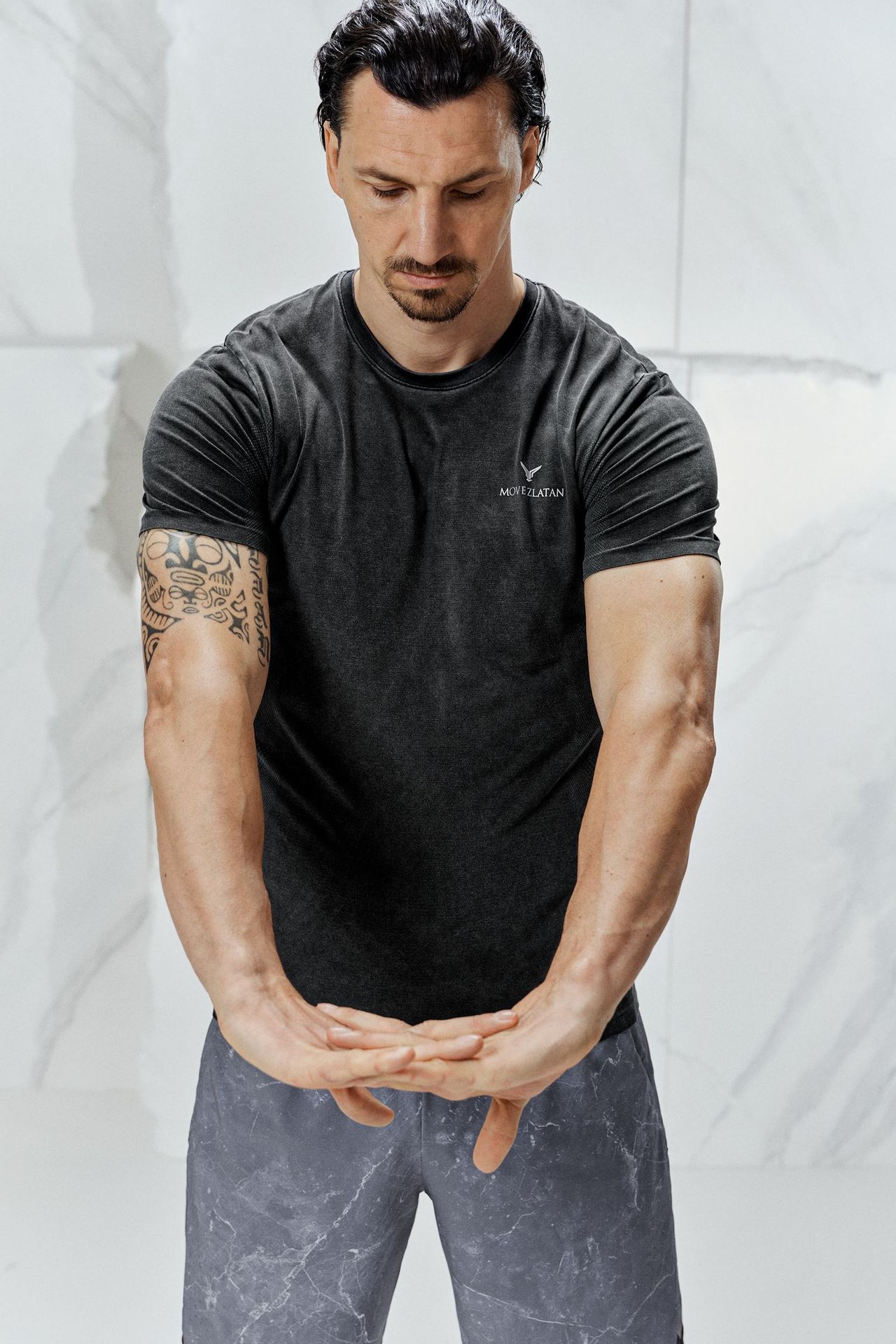 model-main
