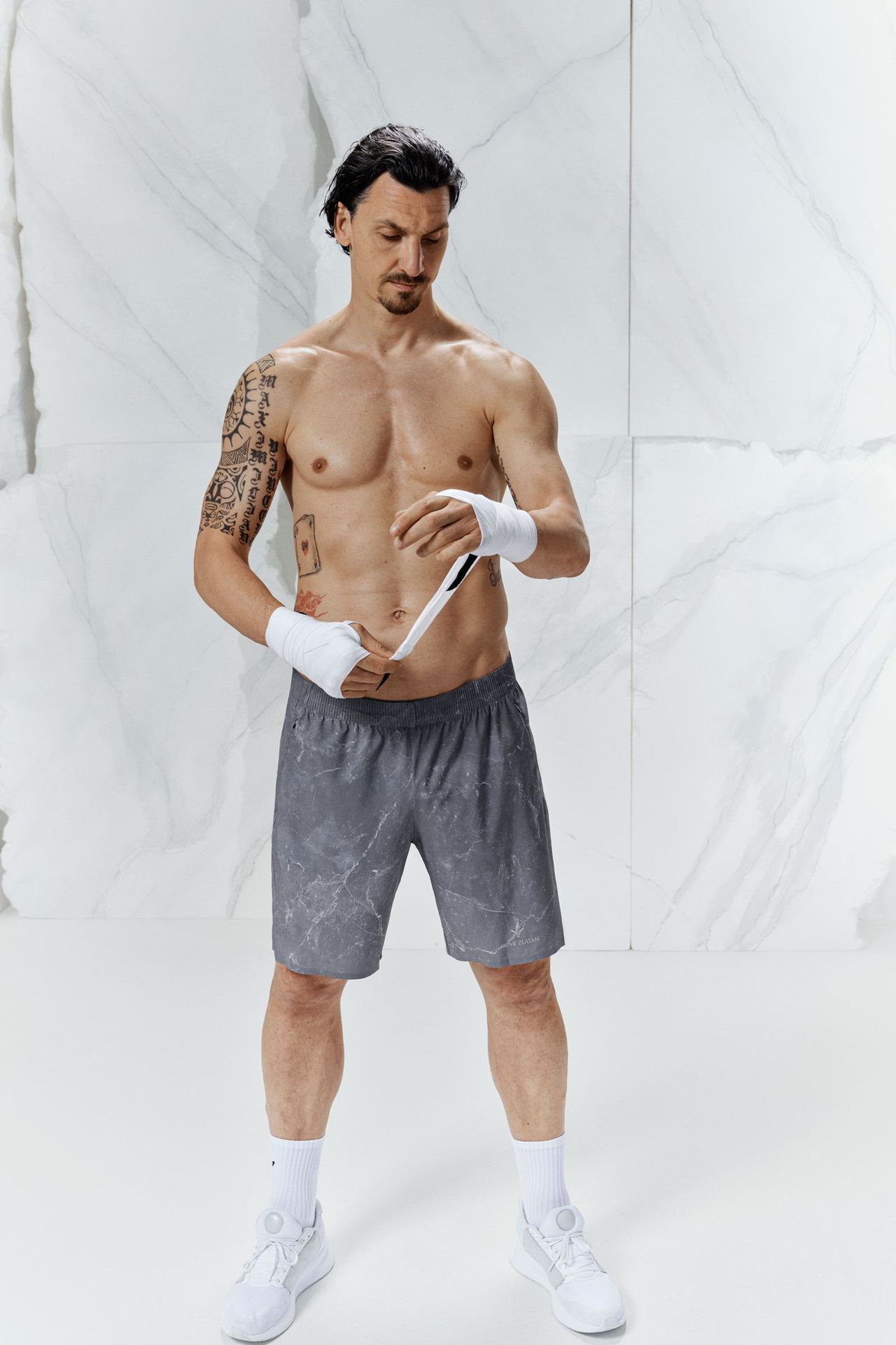 model-main