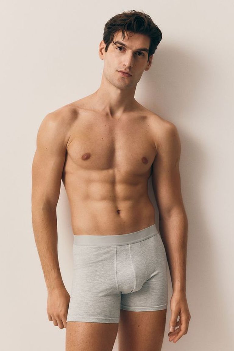 model-main